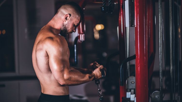 Cable Biceps Curl Aleti Nedir? Nereyi Çalıştırır?